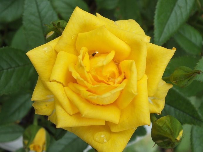  photo y2k2_zps5a46463d.jpg